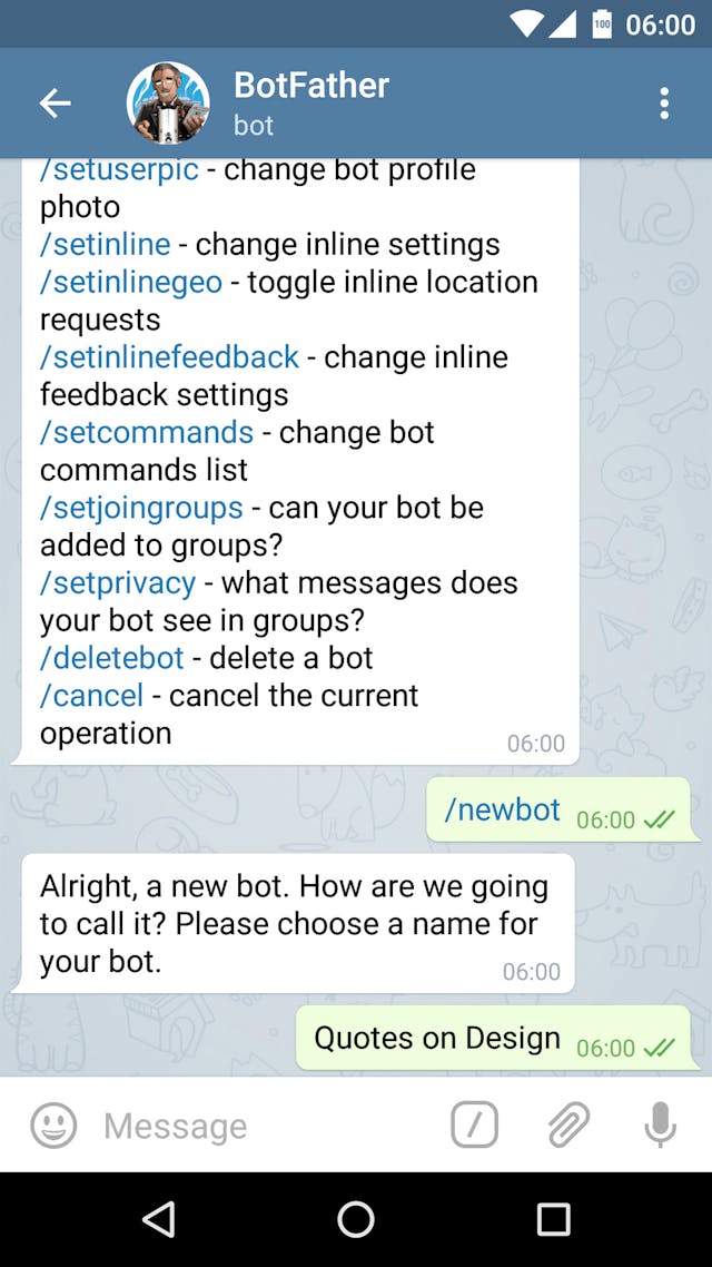 Give your bot a name